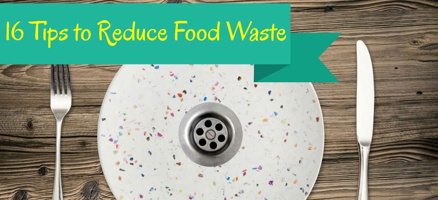 16 Tips to Beat Food Waste Statistics