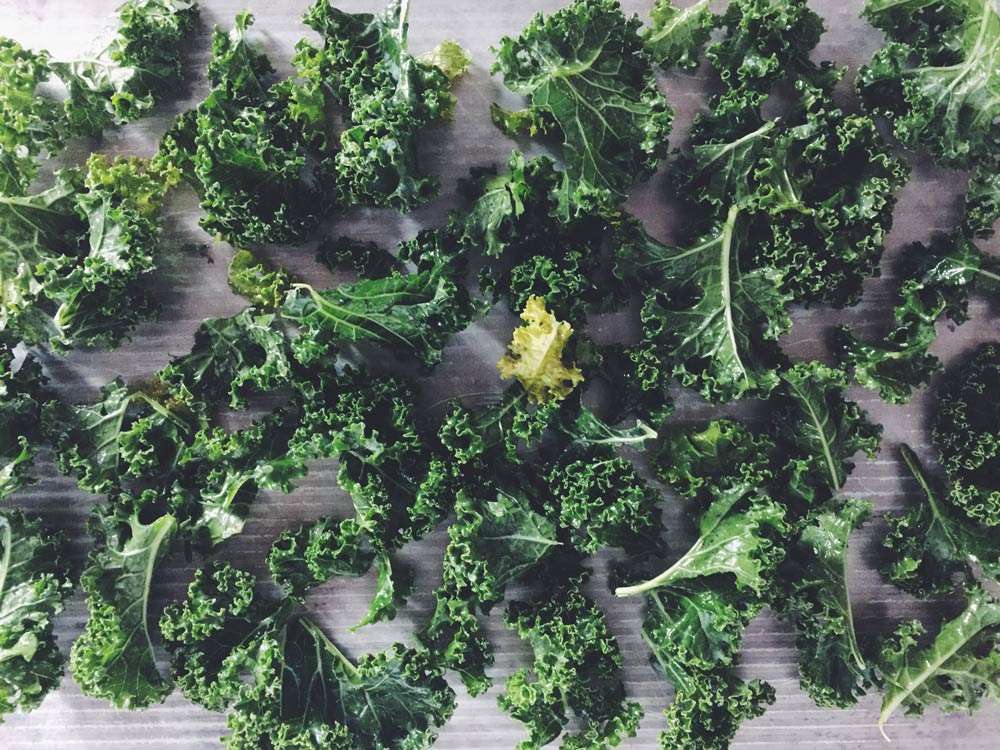 Kale Chips